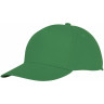 Пятипанельная кепка Hades, зеленый папоротник