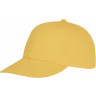 Шестипанельная кепка Ares, желтый