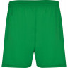 Спортивные шорты Roly Calcio мужские, папоротниковый, размер 2XL (52)