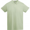 Рубашка-поло Roly Tyler мужская, припыленный зеленый, размер S (44)