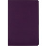 Бизнес тетрадь А5 Bruno Visconti Megapolis flex 60 л. soft touch клетка, фиолетовый