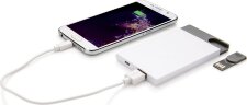 Зарядное устройство с USB - флешкой на 8 ГБ, 2500 mAh