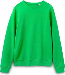 Свитшот унисекс BNC Inspire (Organic), зеленый, 3XL