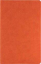 Ежедневник Slimbook Dallas недатированный без печати, оранжевый (Sketchbook)