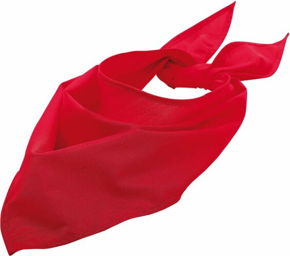 Шейный платок Bandana, красный