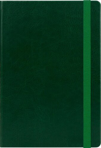 Ежедневник Voyage BtoBook недатированный, зеленый (без упаковки, без стикера)