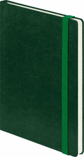 Ежедневник Voyage BtoBook недатированный, зеленый (без упаковки, без стикера)