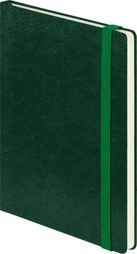 Ежедневник Voyage BtoBook недатированный, зеленый (без упаковки, без стикера)