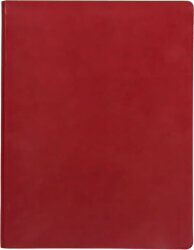 Бизнес-блокнот BIGGY, формат B5, в клетку, красный