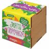 Набор для выращивания Экокуб Magicme Мята