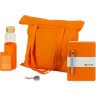 Welcome pack Color Refine, оранжевый