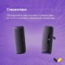 Умная портативная колонка Яндекс Станция Стрит с Алисой, черный (YNDX-00030BLK)