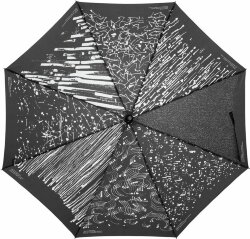 Зонт-трость Соль Types Of Rain