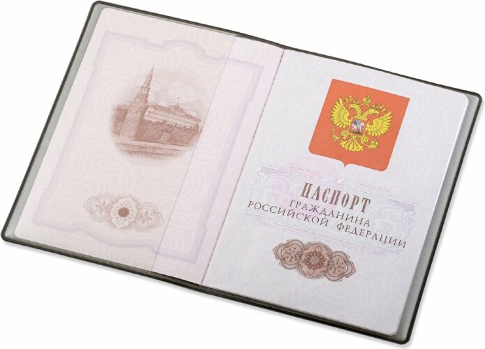 Классическая обложка для паспорта Favor, светло-серая