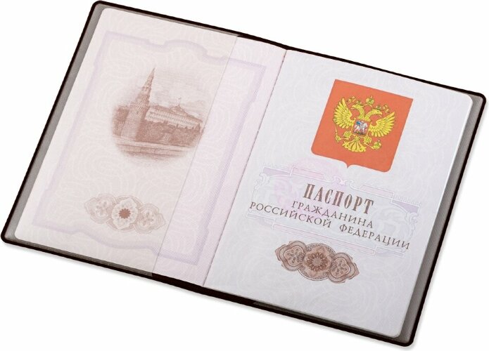 Классическая обложка для паспорта Favor, коричневая