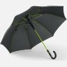 Зонт-трость с цветными спицами Color Style, зеленое яблоко, с черной ручкой