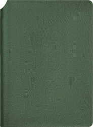 Ежедневник Molto недатированный, зеленый