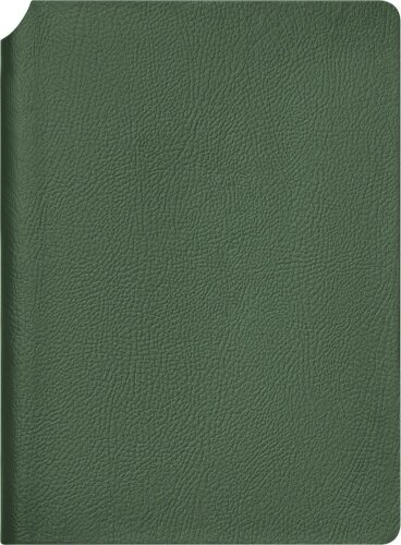 Ежедневник Molto недатированный, зеленый