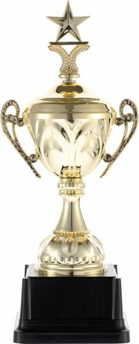 Кубок Top Star, золотистый