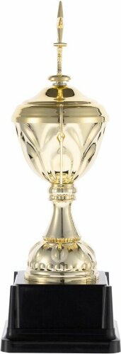 Кубок Top Star, золотистый