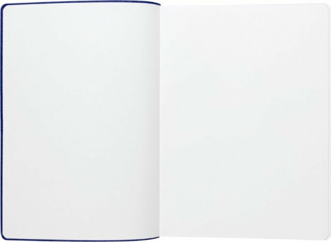 Ежедневник Flexpen, недатированный, серебристо-синий