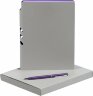Набор Flexpen, серебристо-фиолетовый