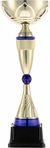 Кубок Awardee, большой, синий