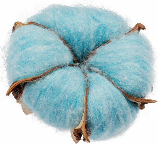 Цветок хлопка Cotton, голубой