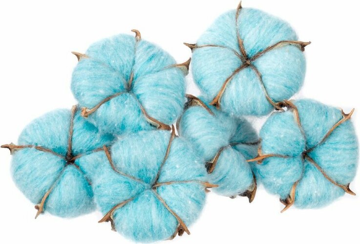 Цветок хлопка Cotton, голубой