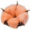 Цветок хлопка Cotton, оранжевый