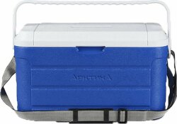 Термоконтейнер «Арктика», M, синий