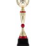 Кубок Awardee, большой, красный