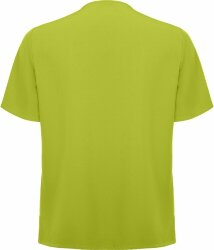Топ мужской Roly Ferox, фисташковый, размер 3XL (60)