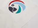 Футболка унисекс KRIS, 100% хлопок, 150 гр., белая (теплого оттенка), размер XXXL Parrots